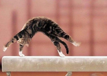 Gimnastica val (val) gimnastică val