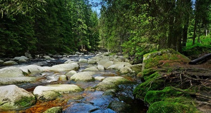 loc magic în România, în cazul în care pentru a găsi fericirea și iubirea (magie) loc magic în România, în cazul în care pentru a găsi fericirea și dragostea