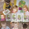 hârtie creponată Magic „trandafir frumos“ (pentru profesori) hârtie creponată Magic „trandafir frumos“