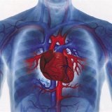 Boala inflamatorie inima - tratamentul inimii (boală inflamatorie cardiacă) boli de inima inflamatorie - tratamentul inimii