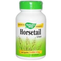 proprietăți terapeutice și coada calului aplicare contraindicații și rețete (proprietăți) proprietăți medicinale și contraindicațiile coada calului, aplicarea și rețete