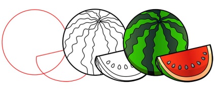 Cum de a desena un pepene verde boabe (fapte interesante despre pepeni verzi) Fructe de padure cum să atragă un pepene