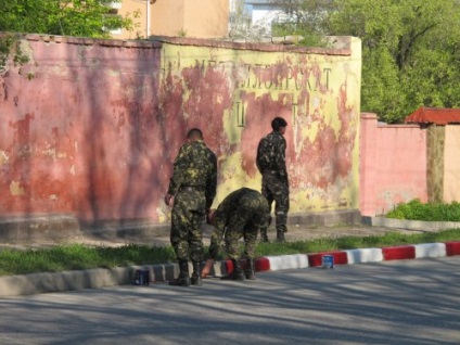 De ce vopsea iarba in armata (iarba) De ce vopsea iarba în armată