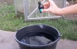 De ce ar ciocan cuie într-un copac (trusa de prim ajutor are Ogorodnaya) De ce ar ciocan cuie într-un copac