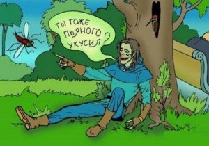 Incantatii, ritualuri (pentru a lupta de protecție Mosquito) Incantații, ritualuri