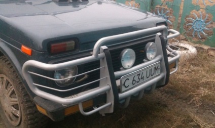 Protecția barei de protecție auto - cum să selecteze și să instaleze propriile mâini (protecție) Protecția barei de protecție auto - cum să selecteze și să instaleze propriile mâini