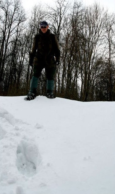 Land - cronici viața 1 () Land - cronici viața 1
