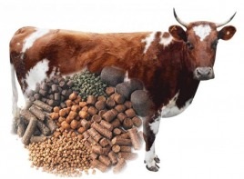 Zernosmes grâu - 40 kg (grâu, mei, semințe de floarea soarelui, porumb) (grâu) Zernosmes grâu - 40 kg (grâu, mei, semințe de floarea soarelui, porumb)