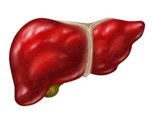 ficat gras și pancreas (grăsime) ficat gras si pancreas