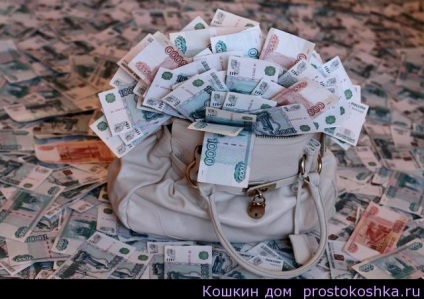 5 pași și geanta (bani) 5 pași și geantă
