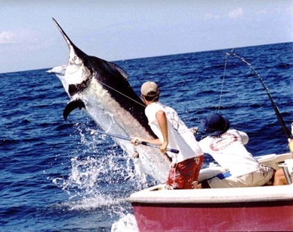 Marea Andaman din Thailanda, Phuket, Pattaya, Siam (statiuni) Marea Andaman din Thailanda, Phuket, Pattaya, Siam
