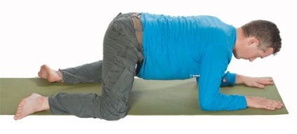 mandukasana Asana (figura frumoasa) asana mandukasana