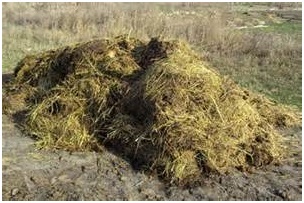 Echilibrul humus și posibilitatea controlului său (materie organică proaspătă) Echilibrul humusului și posibilitatea reglementării sale