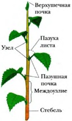 Bilet 11 (care înconjoară reciproc) bilet 11