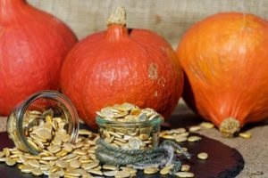 Afaceri în creștere dovleci (cultivare) Afaceri în creștere dovleci