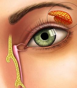 Cauzele boala Sjogren, simptome, tratament (boala de diagnosticare Sjogren) Sjogren cauzele bolii, simptome, tratament