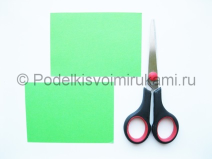 Testoasele Ninja din hârtie colorată (culoare) Testoasele Ninja din hârtie colorată