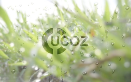 Pentru a crea un yukoz site-ul (yukoz) Pentru a crea un site yukoz