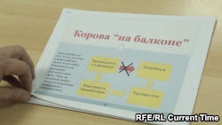 Ce rezident Chelyabinsk pe vaca balcon (balcon) De ce locuitorii din vaca Chelyabinsk pe balcon