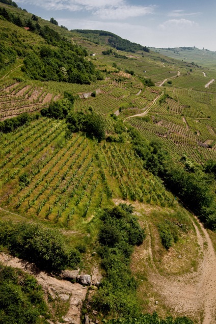Alsacia - un ghid gratuit pentru călătorii (Alsacia) Alsacia - un ghid gratuit pentru călătorii