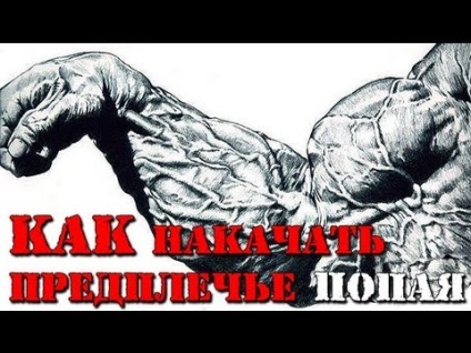 Cum de a construi brațul inferior și superior (biceps) (mâini) Cum de a construi brațul inferior și superior (biceps)