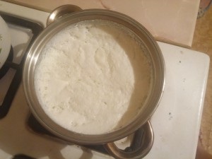 Cum de a pierde in greutate si ciuperci lapte mai sănătos prin (via) Cum de a pierde în greutate și de a îmbunătăți sănătatea dumneavoastră cu ajutorul laptelui de ciuperci