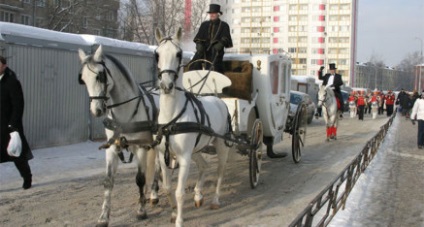 Căruciorul pentru nunta - organizarea și desfășurarea de festivaluri din Moscova și Moscova (phaeton de nuntă) Căruciorul pentru nunta - organizarea și desfășurarea festivalurilor în regiunea Moscova și Moscova