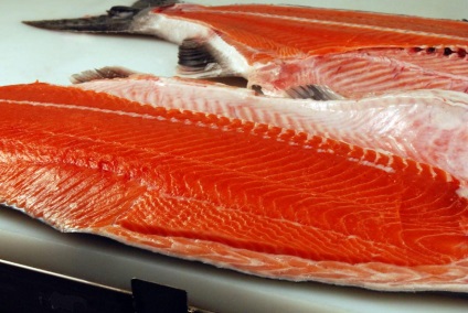Coho somon de argint (Coho somon Oncorhynchus kisutch) Coho Silver Salmon