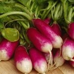 grădină frumoasă la cabana toaletă - idei de design, imagini, amenajare de grădină (grădina) grădină frumoasă la cabana toaletă - idei de design, imagini, grădină de plantare