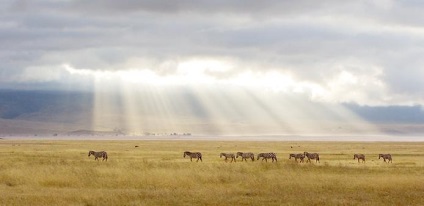 Ngorongoro crater (crater) Ngorongoro crater