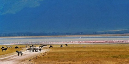 Craterul Ngorongoro (Ngorongoro) Ngorongoro crater
