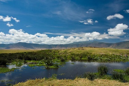 Craterul Ngorongoro (Ngorongoro) Ngorongoro crater