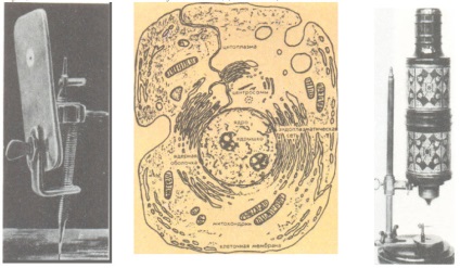 Cine a descoperit un atom