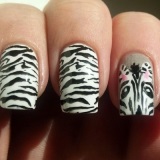 idei zebră fotografie manichiură (Zebra) idei zebră fotografie manichiură