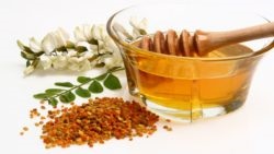 Salcîm - proprietăți și contraindicații utile (acacia) Salcîm - proprietăți utile și contraindicații