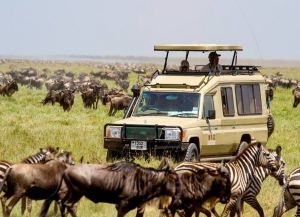 Parcul National Serengeti, Parcul National Serengeti (parc) Serengeti National Park, Parcul National Serengeti