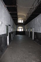 Nut (castel) - l (fiul său Alexander) Nut (castel) - este