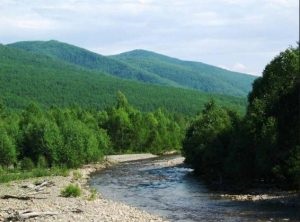 Caracteristici ale Orientului Îndepărtat (ridicat) Caracteristici ale Orientului Îndepărtat