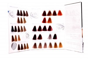 companie de culori paleta de păr, blog-ul de frumusete - sfaturi profesionale pe par si coafuri (frumusete) companie de culori paleta de păr, blog-ul de frumusete - sfaturi profesionale pe par si coafuri