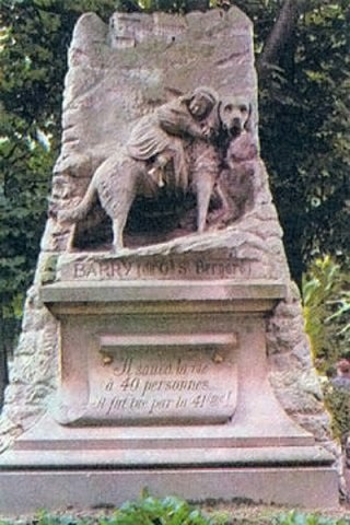 Monumente câini (Saint Bernard Barry) monumente câini
