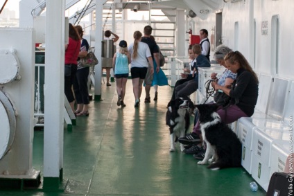 Viking Ferry la Stockholm