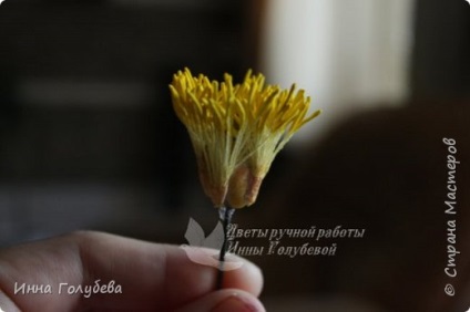 Peony de (Floristica artificiale) bujor de la