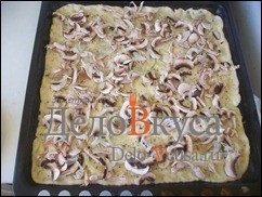 Pizza cu ciuperci de pui (pizza cu carne de pui) Pizza cu pui, ciuperci
