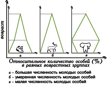 Conceptul populației (numărul de indivizi din fiecare) Conceptul de populație
