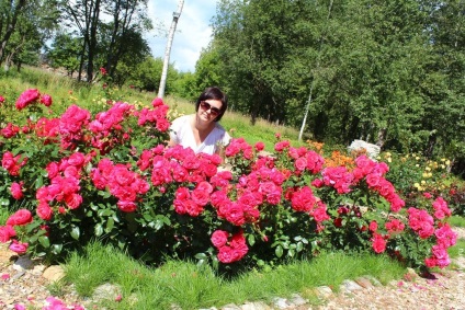 În regiunea Tver (Tver Oblast Vyshny) În regiunea Tver