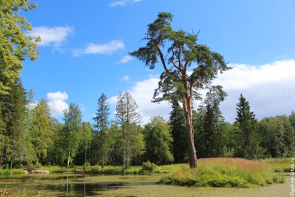 În regiunea Tver (Tver Oblast Vyshny) În regiunea Tver