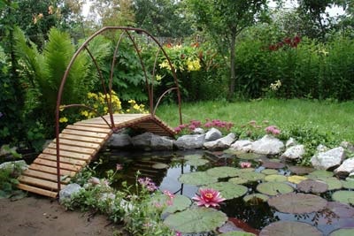 Iaz cu plantarea nuferi și îngrijire pentru Nymphea foto (îngrijire) Lac cu nuferi de plantare și îngrijire pentru Nymphea fotografie