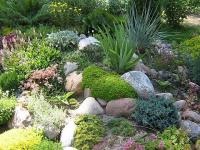 Recomandări pentru construirea de gradina de rock - puncte importante (acoperite rapid cu mușchi) Recomandări pentru construirea de gradina de rock - puncte importante