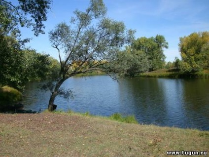 Pescuit în Siberia () Pescuitul în Siberia