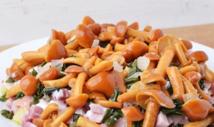 Salata cu ciuperci și șuncă rețete marinate și fierte ciuperci (fungi) Salata cu ciuperci și șuncă rețete ciuperci marinate și fierte